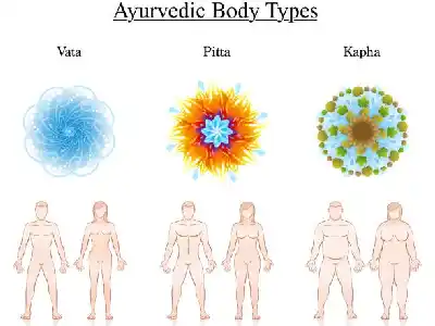 Ayurvedic Body Types