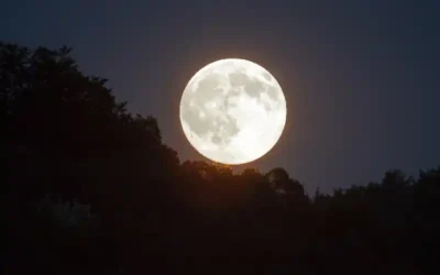 Coiffeurs lunaires : optimisez votre cycle capillaire en suivant le cycle lunaire