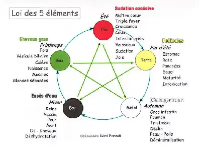 Loi des 5 éléments - Rémi Portrait