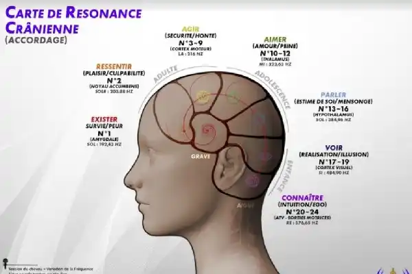 Carte de résonance crânienne - accordage