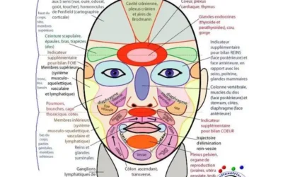 Réflexologie crânio-faciale : vers un bien-être global et naturel