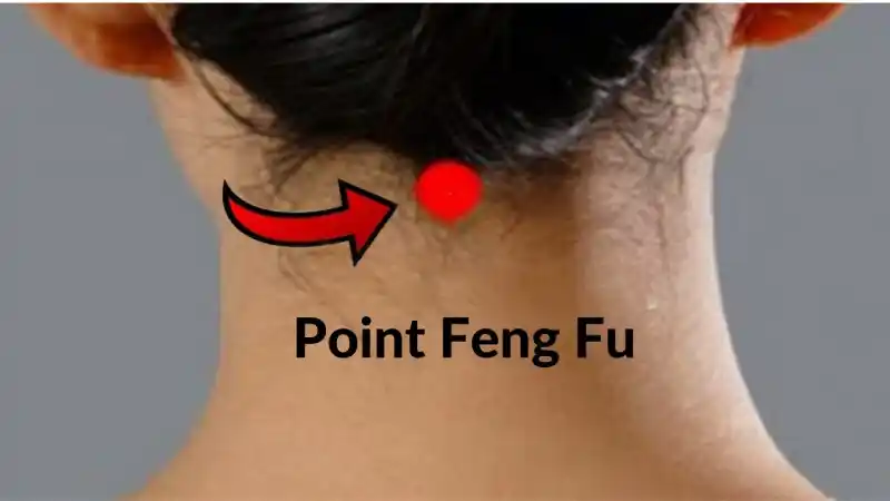 Point Feng Fu - MTC