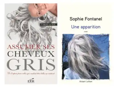 Sélection d'ouvrages sur les cheveux gris