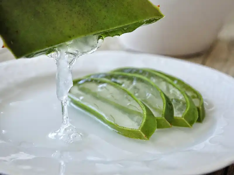 Aloe vera gel pour soins cheveux