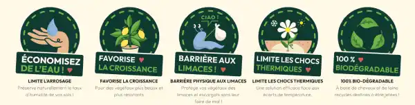 Avantages du premier paillage Capillum biodégradable conçu à partir de cheveux