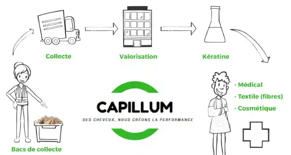 Cycle de collecte et de valorisation des cheveux - Capillum