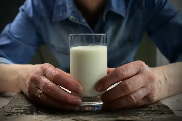 Verre de lait de vache