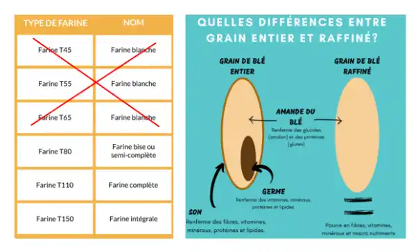 Types de farine - grain entier versus grain raffiné