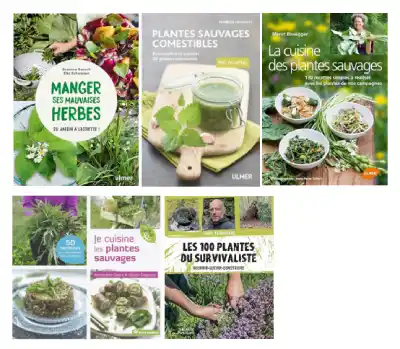 Ouvrages sur les plantes sauvages comestibles