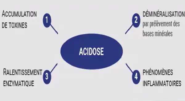 Schéma sur l'impact de l'acidose sur l'organisme