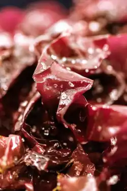 Algue dulse