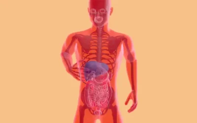 Relation entre microbiote intestinal et microbiote du cuir chevelu : un facteur de la perte de cheveux ?