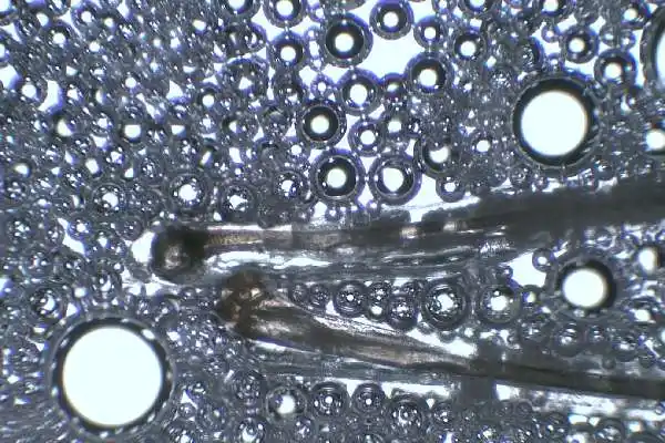 Formation de bulles &agrave; la r&eacute;action chimique, indicatrice d&rsquo;un terrain acidifiant source d&rsquo;une d&eacute;min&eacute;ralisation de la fibre capillaire-Univ'Hair