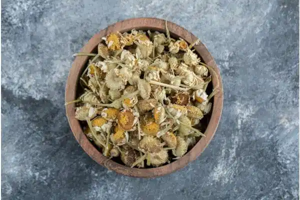 Camomille s&eacute;ch&eacute;e-Univ'Hair