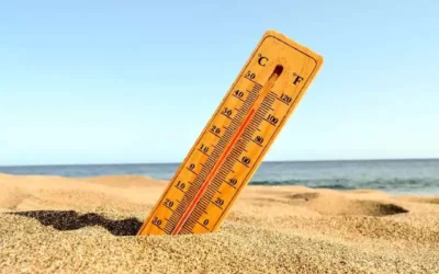Bains dérivatifs : comment rester au frais en pleine canicule tout en prenant soin de ses cheveux ?
