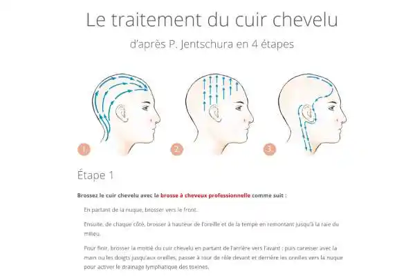 Le brossage d'après P.Jentschura-Univ'Hair